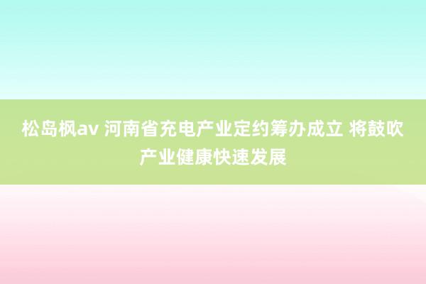 松岛枫av 河南省充电产业定约筹办成立 将鼓吹产业健康快速发展