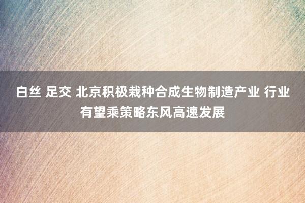 白丝 足交 北京积极栽种合成生物制造产业 行业有望乘策略东风高速发展