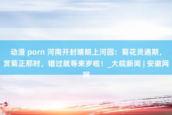 动漫 porn 河南开封晴朗上河园：菊花灵通期，赏菊正那时，错过就等来岁啦！_大皖新闻 | 安徽网