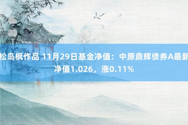松岛枫作品 11月29日基金净值：中原鼎辉债券A最新净值1.026，涨0.11%