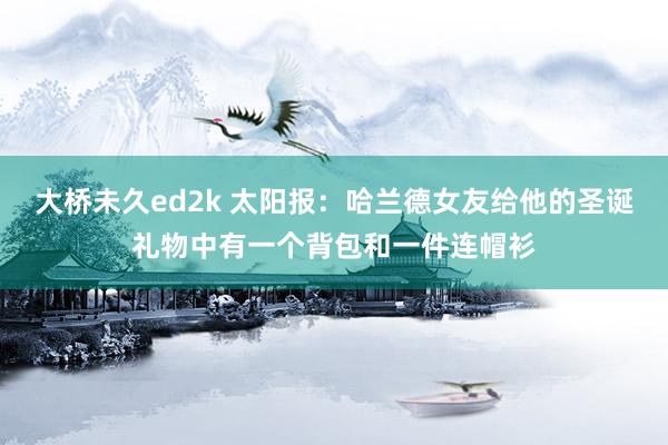 大桥未久ed2k 太阳报：哈兰德女友给他的圣诞礼物中有一个背包和一件连帽衫