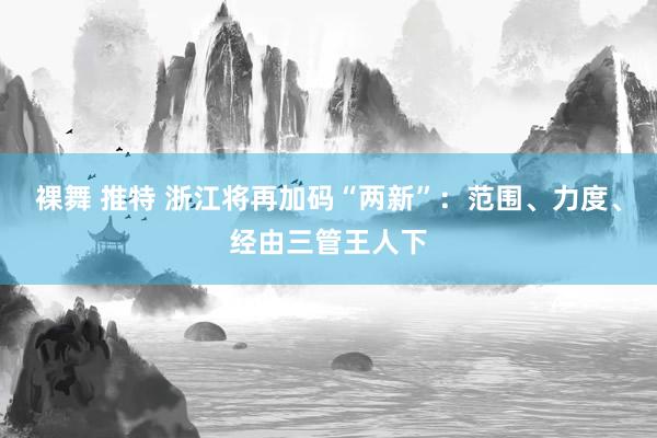 裸舞 推特 浙江将再加码“两新”：范围、力度、经由三管王人下