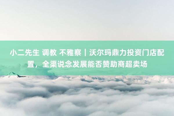 小二先生 调教 不雅察｜沃尔玛鼎力投资门店配置，全渠说念发展能否赞助商超卖场