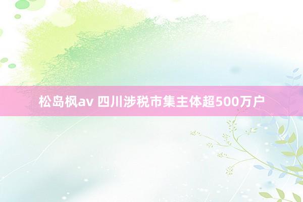 松岛枫av 四川涉税市集主体超500万户