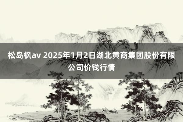 松岛枫av 2025年1月2日湖北黄商集团股份有限公司价钱行情