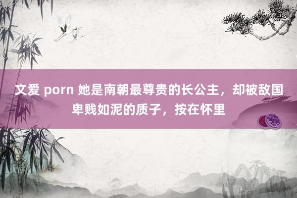 文爱 porn 她是南朝最尊贵的长公主，却被敌国卑贱如泥的质子，按在怀里