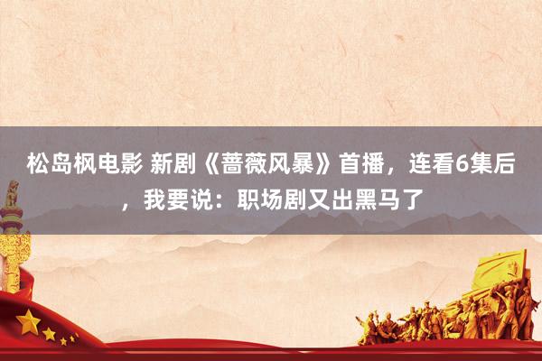 松岛枫电影 新剧《蔷薇风暴》首播，连看6集后，我要说：职场剧又出黑马了
