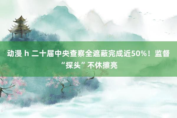 动漫 h 二十届中央查察全遮蔽完成近50%！监督“探头”不休擦亮