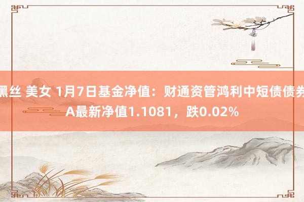黑丝 美女 1月7日基金净值：财通资管鸿利中短债债券A最新净值1.1081，跌0.02%