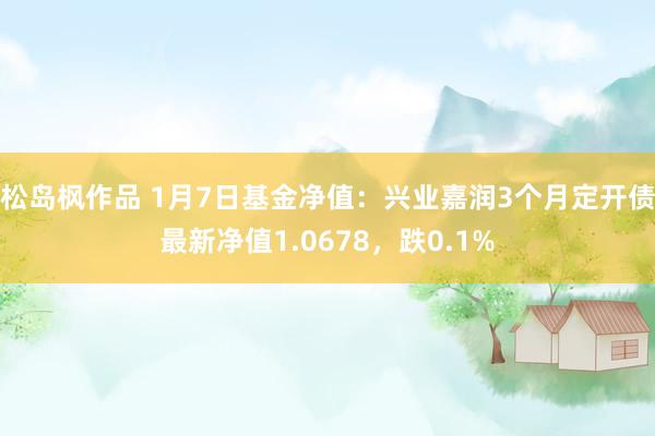 松岛枫作品 1月7日基金净值：兴业嘉润3个月定开债最新净值1.0678，跌0.1%