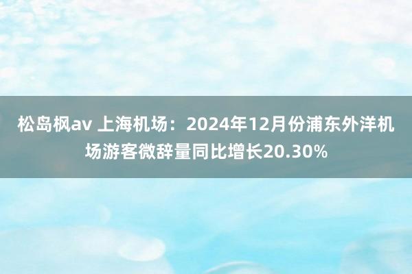 松岛枫av 上海机场：2024年12月份浦东外洋机场游客微辞量同比增长20.30%