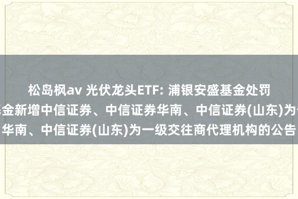 松岛枫av 光伏龙头ETF: 浦银安盛基金处罚有限公司对于旗下部分基金新增中信证券、中信证券华南、中信证券(山东)为一级交往商代理机构的公告