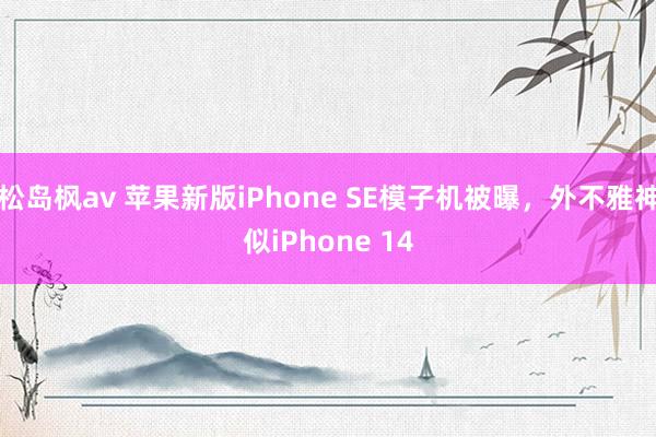 松岛枫av 苹果新版iPhone SE模子机被曝，外不雅神似iPhone 14