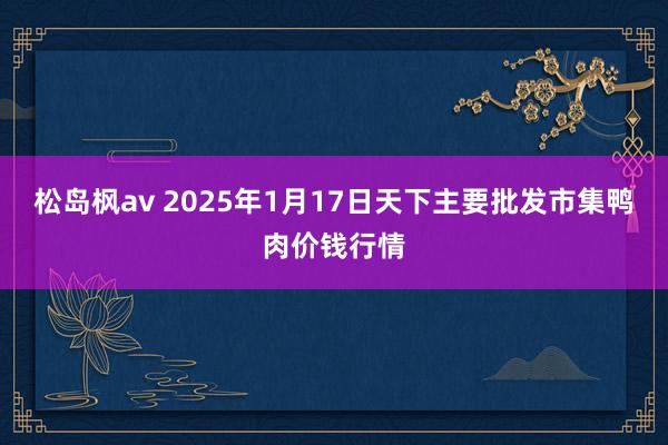 松岛枫av 2025年1月17日天下主要批发市集鸭肉价钱行情