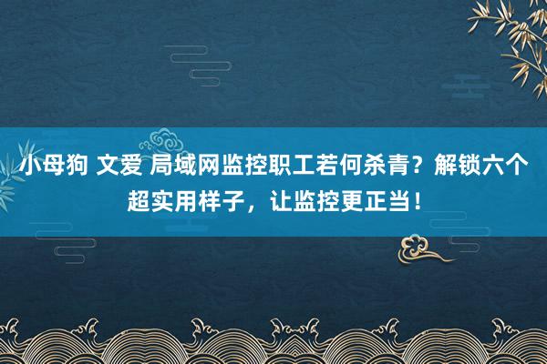 小母狗 文爱 局域网监控职工若何杀青？解锁六个超实用样子，让监控更正当！