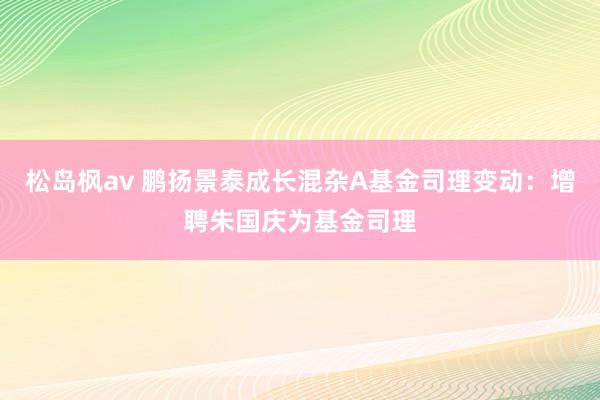 松岛枫av 鹏扬景泰成长混杂A基金司理变动：增聘朱国庆为基金司理