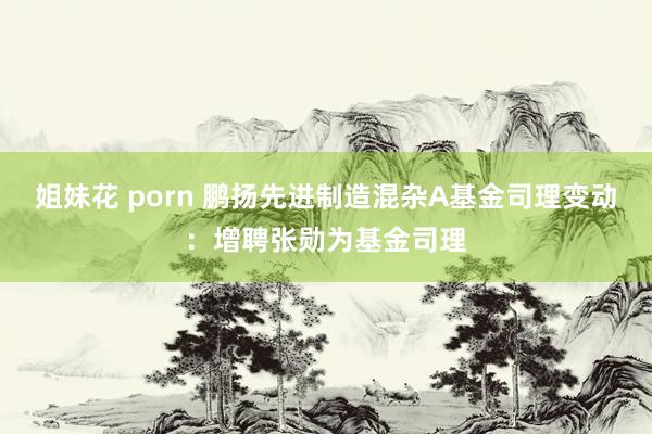 姐妹花 porn 鹏扬先进制造混杂A基金司理变动：增聘张勋为基金司理