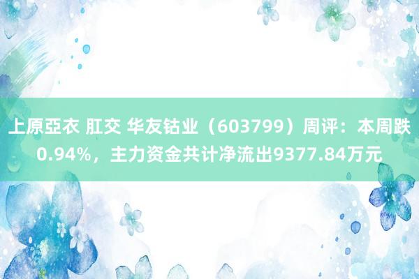 上原亞衣 肛交 华友钴业（603799）周评：本周跌0.94%，主力资金共计净流出9377.84万元