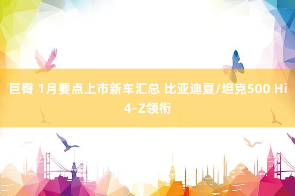 巨臀 1月要点上市新车汇总 比亚迪夏/坦克500 Hi4-Z领衔