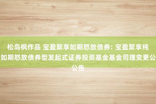 松岛枫作品 宝盈聚享如期怒放债券: 宝盈聚享纯债如期怒放债券型发起式证券投资基金基金司理变更公告