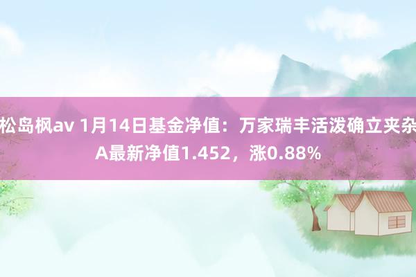 松岛枫av 1月14日基金净值：万家瑞丰活泼确立夹杂A最新净值1.452，涨0.88%