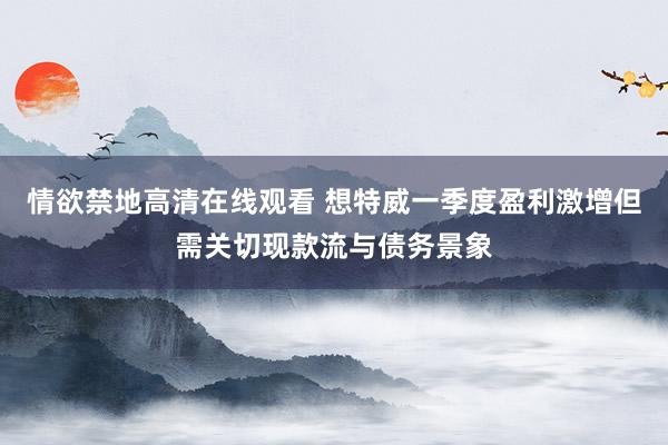 情欲禁地高清在线观看 想特威一季度盈利激增但需关切现款流与债务景象