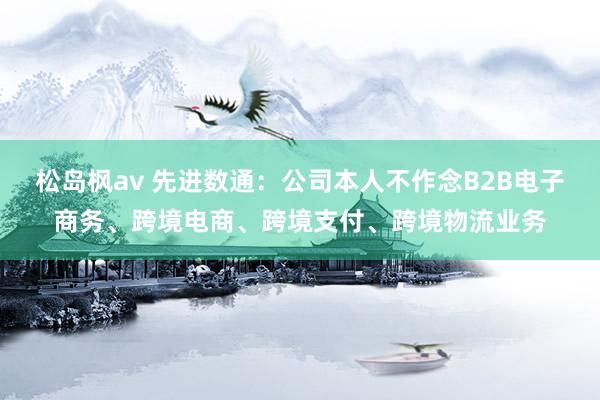 松岛枫av 先进数通：公司本人不作念B2B电子商务、跨境电商、跨境支付、跨境物流业务