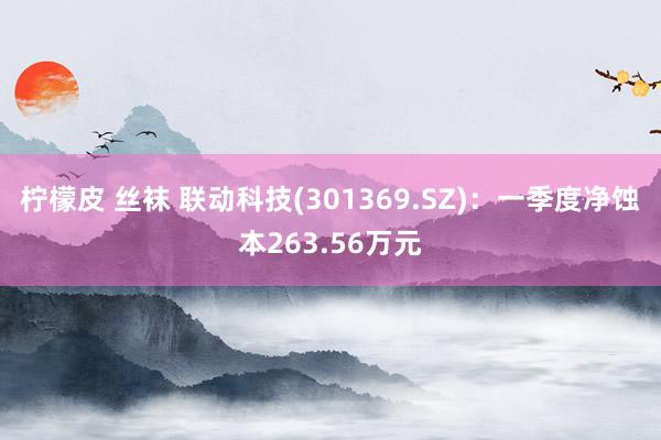 柠檬皮 丝袜 联动科技(301369.SZ)：一季度净蚀本263.56万元